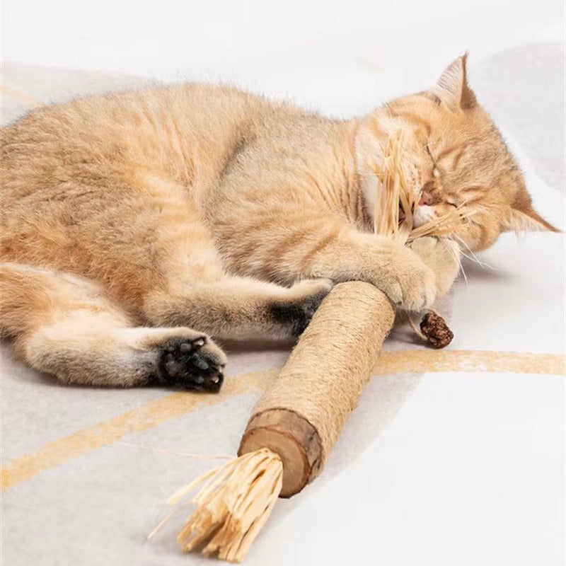 PurrfectBite™ četkica za zube Silvervine